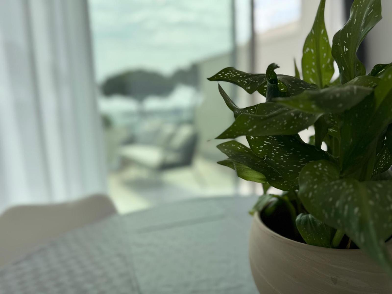 Iitana Luxury Apartment - Fronte Mare Con Vasca Idromassaggio CTA Exterior foto